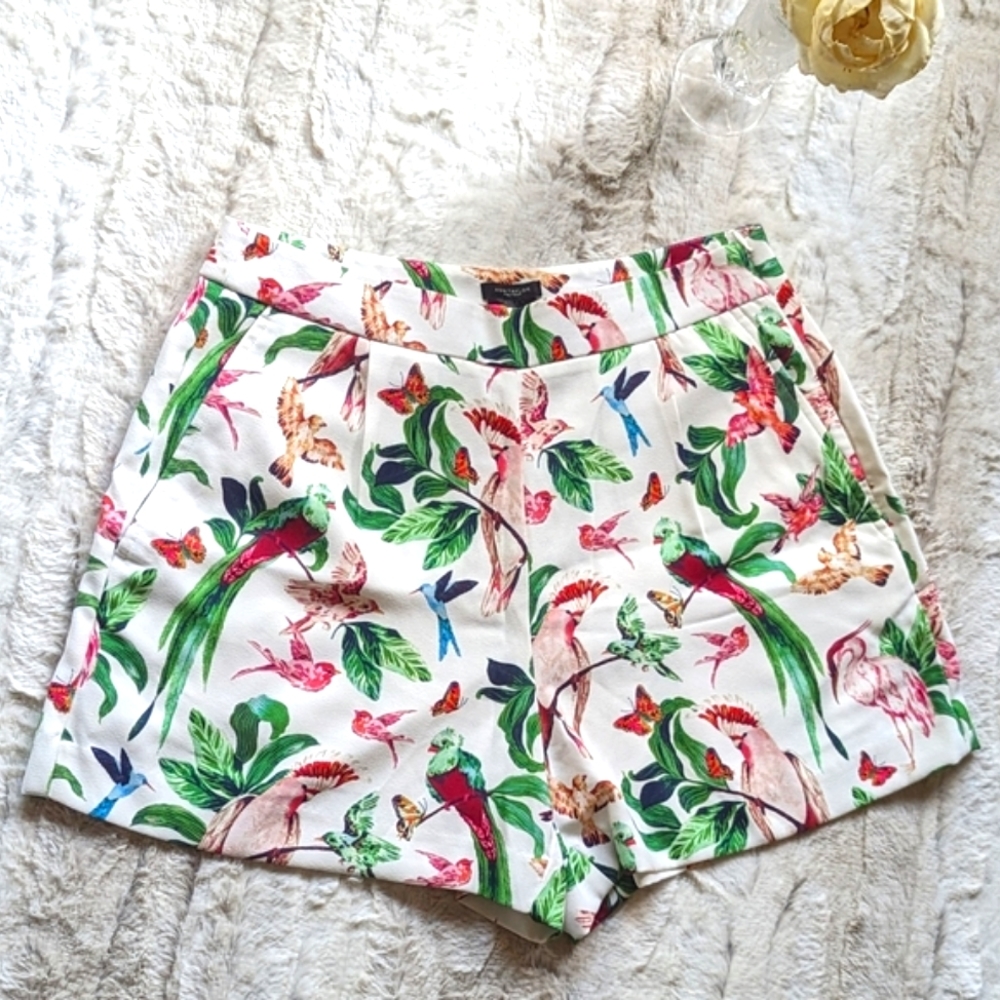 Tropical Birds Shorts